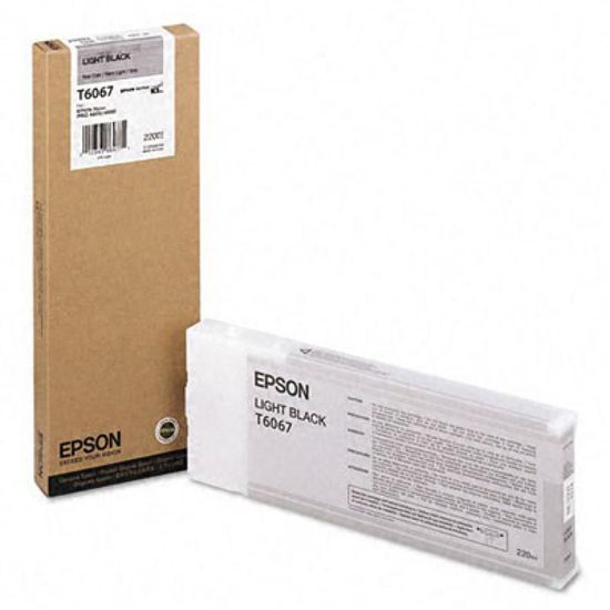 Зображення Картридж струменевий Epson StPro 4800, 4880 light black, 220мл (C13T606700)