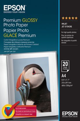 Изображение Фотопапір A4 Epson Premium Glossy Photo Paper, 20 арк, 255 г/м2 (C13S041287)